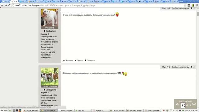 Как пользоваться "Бесконечной прокруткой" смотреть онлайн