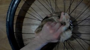 КАК СНЯТЬ И УСТАНОВИТЬ КАССЕТУ НА ВЕЛОСИПЕДЕ
