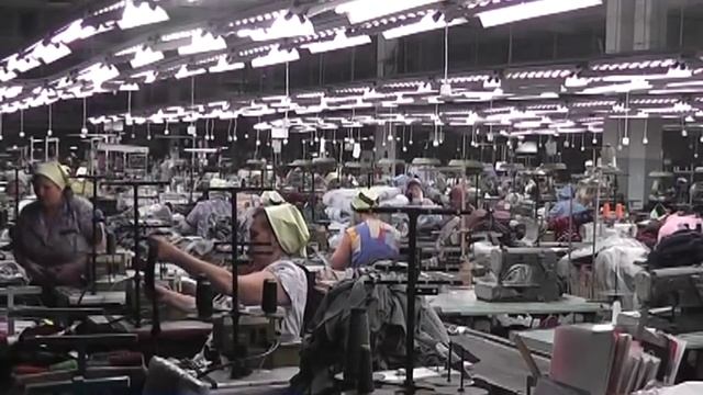 Более трехсот вакансий предлагают в Пинске смотреть онлайн