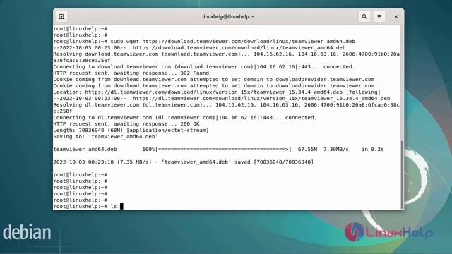 How to install TeamViewer on Debian 11.3 смотреть онлайн