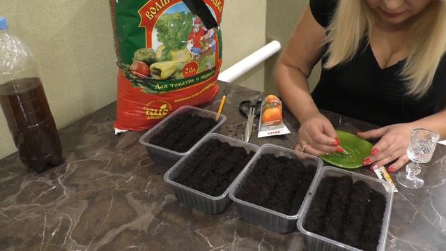 САЖАЕМ ПОМИДОРЫ НА РАССАДУ 2019. ПОДРОБНАЯ ИНСТРУКЦИЯ. смотреть онлайн