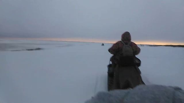 #Буран /по насту/? Snowmobile ride to the tundra смотреть онлайн