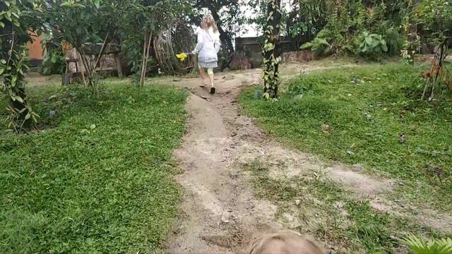 The Fairy Forest. Поездка в Сказочный лес в Нячанге. смотреть онлайн