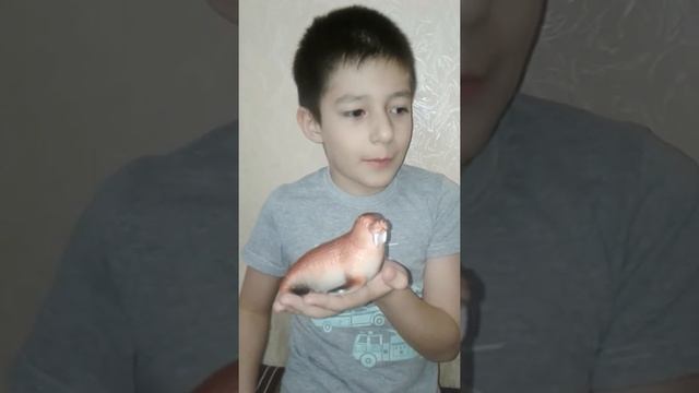 Камилов Тимур про животных (Морж) смотреть онлайн