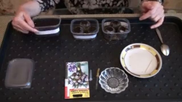 Выращивание эустомы. 1 этап. Посев в грунт и торфяные таблетки. смотреть онлайн