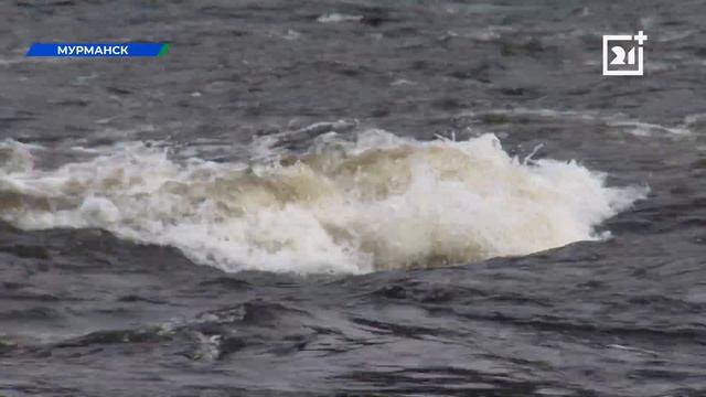 В Мурманской области стартовал сезон семужьей рыбалки. смотреть онлайн