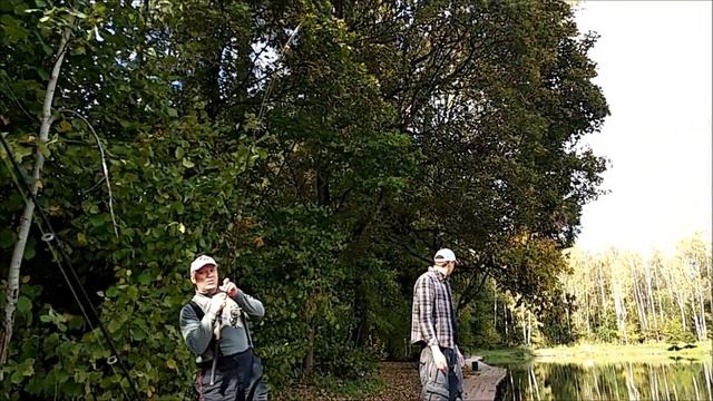 Клёв и поимки осетра на нижнем. Клёвое место, Лосиный остров смотреть онлайн