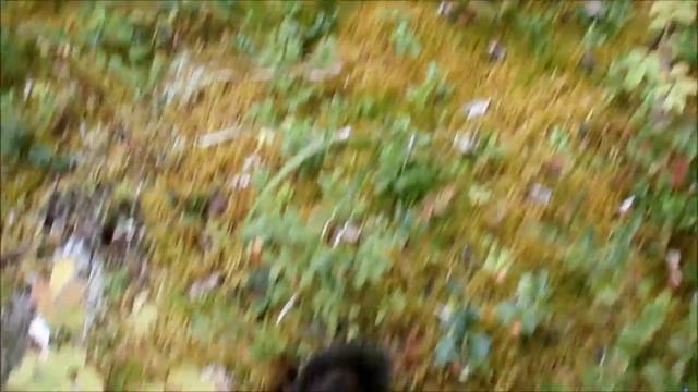 Комбай для сбора ягод смотреть онлайн