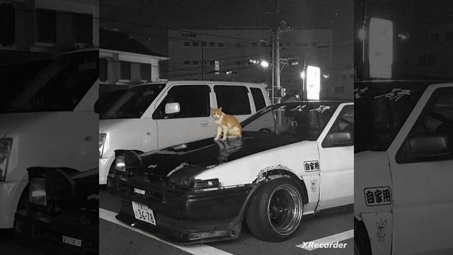 soviss - kitty phonk (Prod. SCXRYTAPE) смотреть онлайн