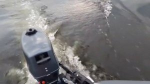 АкваМастер 300 тр и плм Си Про 2.6. Вот на чём я катаюсь порыбачить.