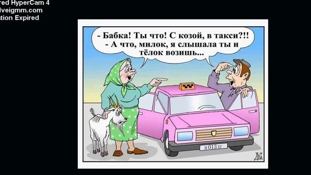 Анегдот бабка и таксист смотреть онлайн
