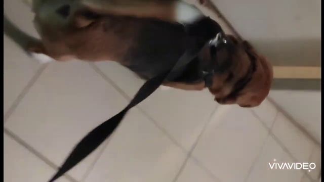 Охотник. Истории о доме / Hunter. Home Stories