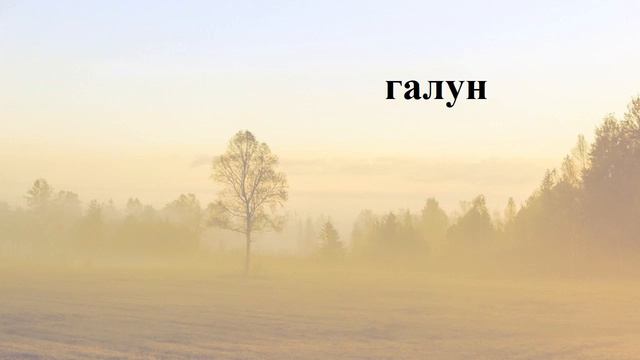 Навчаю дитину читати. 5 букв #28. смотреть онлайн