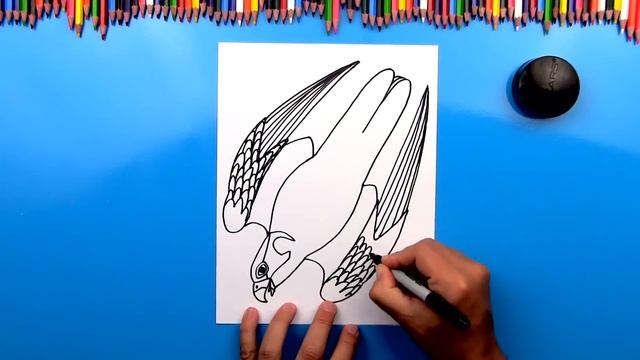 How To Draw A Diving Peregrine Falcon смотреть онлайн