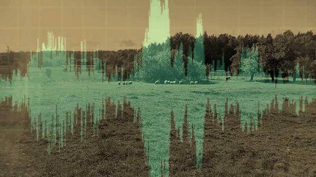Сп. Мікола Раманоўскі пра Сатыраўскі двор у Папялёва смотреть онлайн
