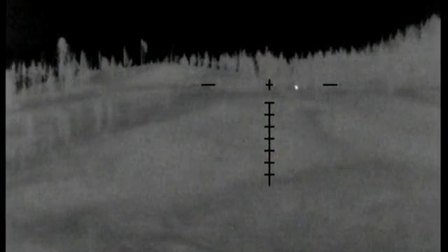 Теплоприцел FORTUNA ONE 3L до изюбрей 2,5км,до тарбаганов 830м смотреть онлайн