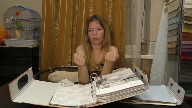 #332. Рулонные шторы в офис - отличная замена устаревшим жалюзи? Какие шторы повесить в офис? смотреть онлайн