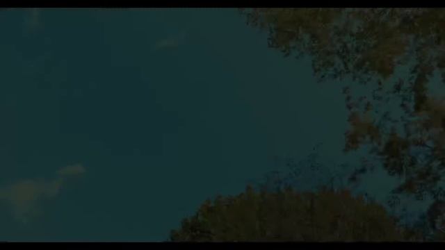 Panasonic LUMIX S5 / LUMIX S 24mm F1.8 / DJI RONIN-SC Gimbal walk смотреть онлайн