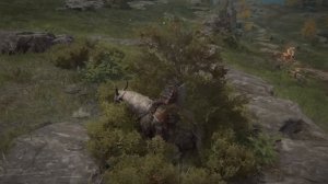 Elden Ring #4 - Говорящий куст!