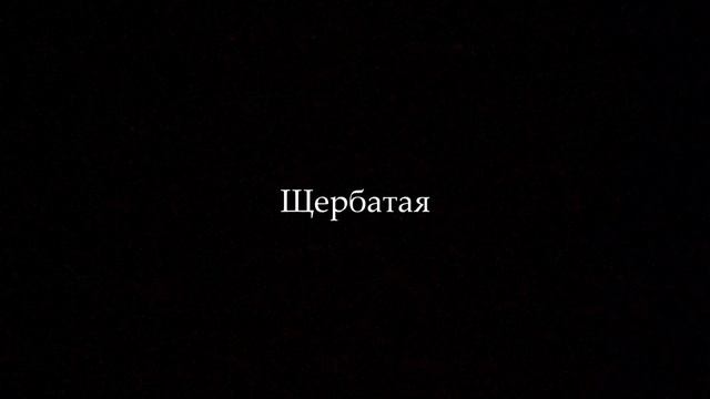 ПАМЯТЬ ПЛЕМЁН #3 ☼ Коты-Воители / Песчаная Буря, Белохвост и Яролика, Щербатая, Пепелица смотреть онлайн