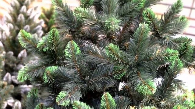 Искусственная елка со ярко зелеными кончиками смотреть онлайн