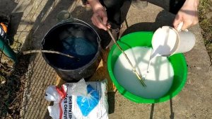 Бордоская смесь–ВСЕ секрети!!? #Бордоская #смесь #фунгицид