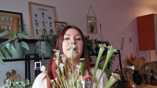 #haul Action et jardinerie : j'ai ENCORE craqué ! смотреть онлайн