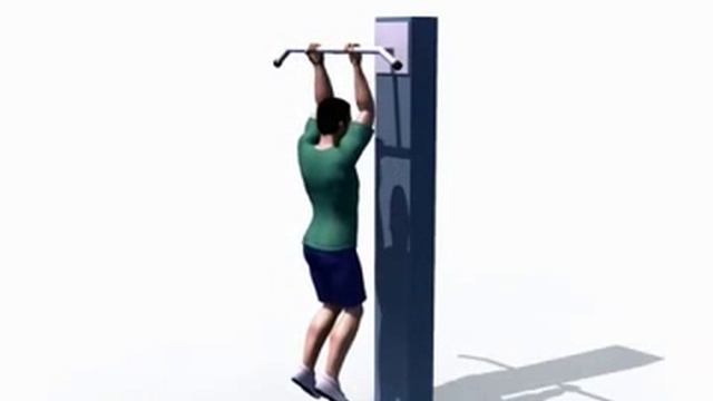 Правильное выполнение - Подтягивание (обратным хватом) смотреть онлайн