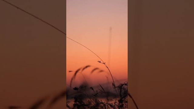 #деревня #дача #сельскаяжизнь #беларусь #хорошаяпесня смотреть онлайн