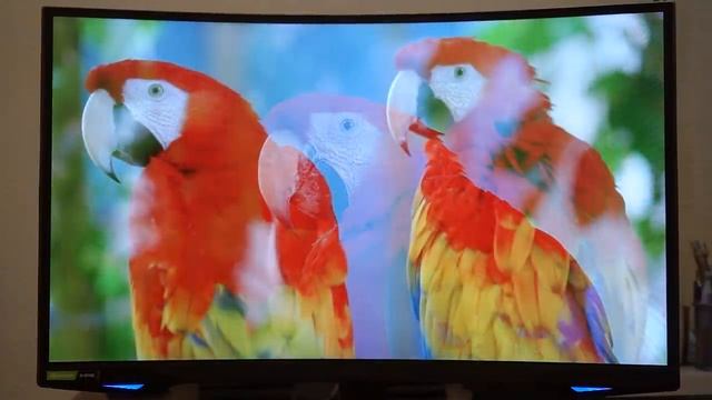 Monitor Samsung Odyssey G7 - Review Tecnoblog смотреть онлайн