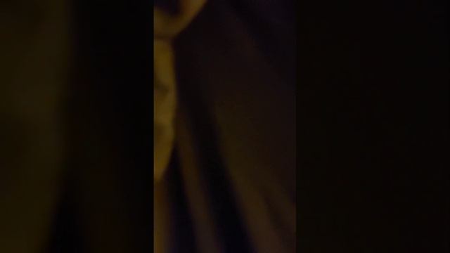 Все прелести плацкартного вагона