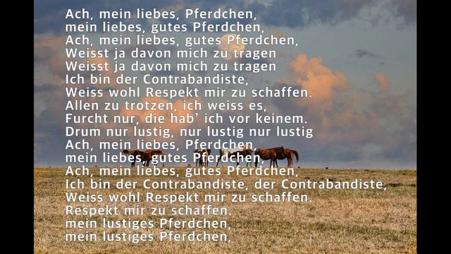 Der Kontrabandiste, Robert Schumann, ahnpav, Pav Ahn, 안파브, 독일가곡, deutsch song смотреть онлайн