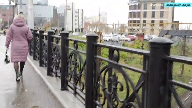 Прогулки с Анжелиной.Первомайский пр-т от Пожалостина до Вокзальной,местные бичи,чипированные собак смотреть онлайн