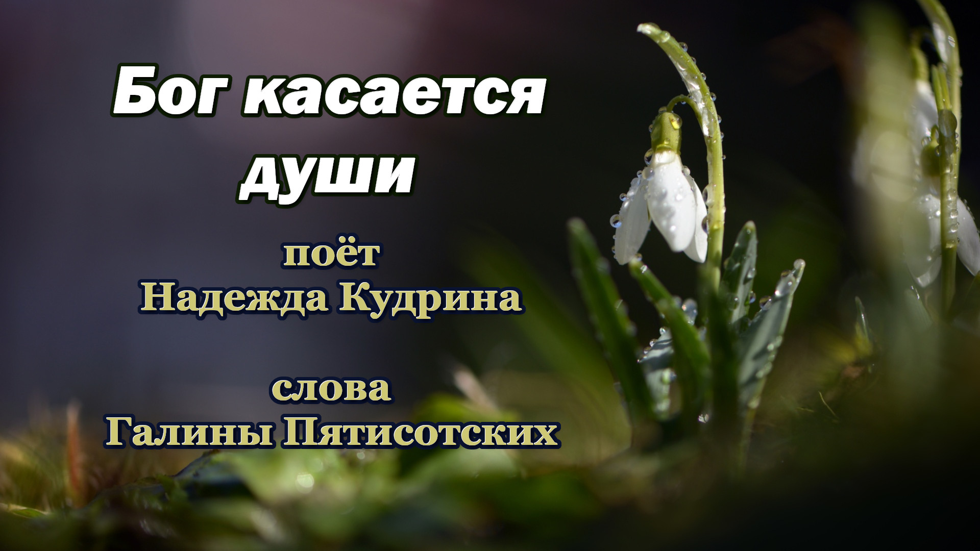 Бог касается души Музыка и исполнение Надежда Кудрина, слова Галина Пятисотских.mp4