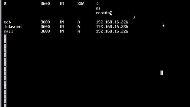 DNS.2.2 Ресурсные записи зоны первичного DNS-сервера смотреть онлайн