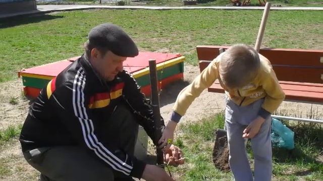 Зеленая весна -2018 смотреть онлайн