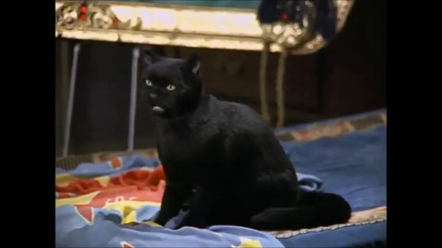 Кот Сэйлем и толкование снов. (Сабрина - маленькая ведьма) смотреть онлайн