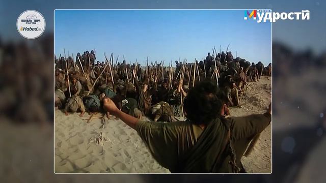 Твоя беда - моя беда? смотреть онлайн