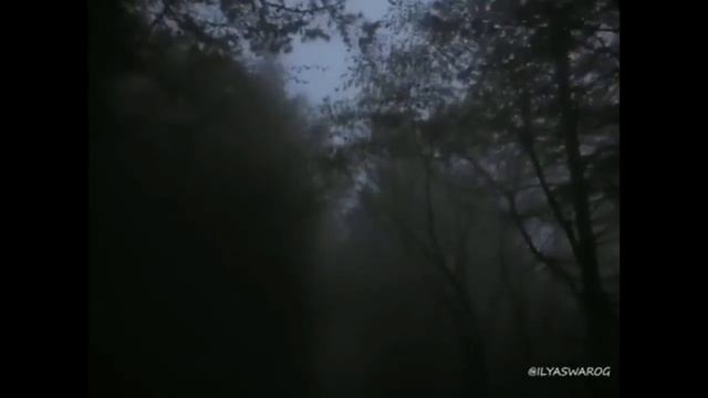 Ты в миг, счастливей сделала меня | Автор стихотворения:Ольга Плетникова смотреть онлайн