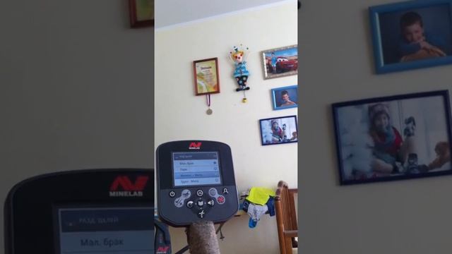 Minelab CTX 3030, ЗОЗО, 3030, металлоискателя СТИКСА!