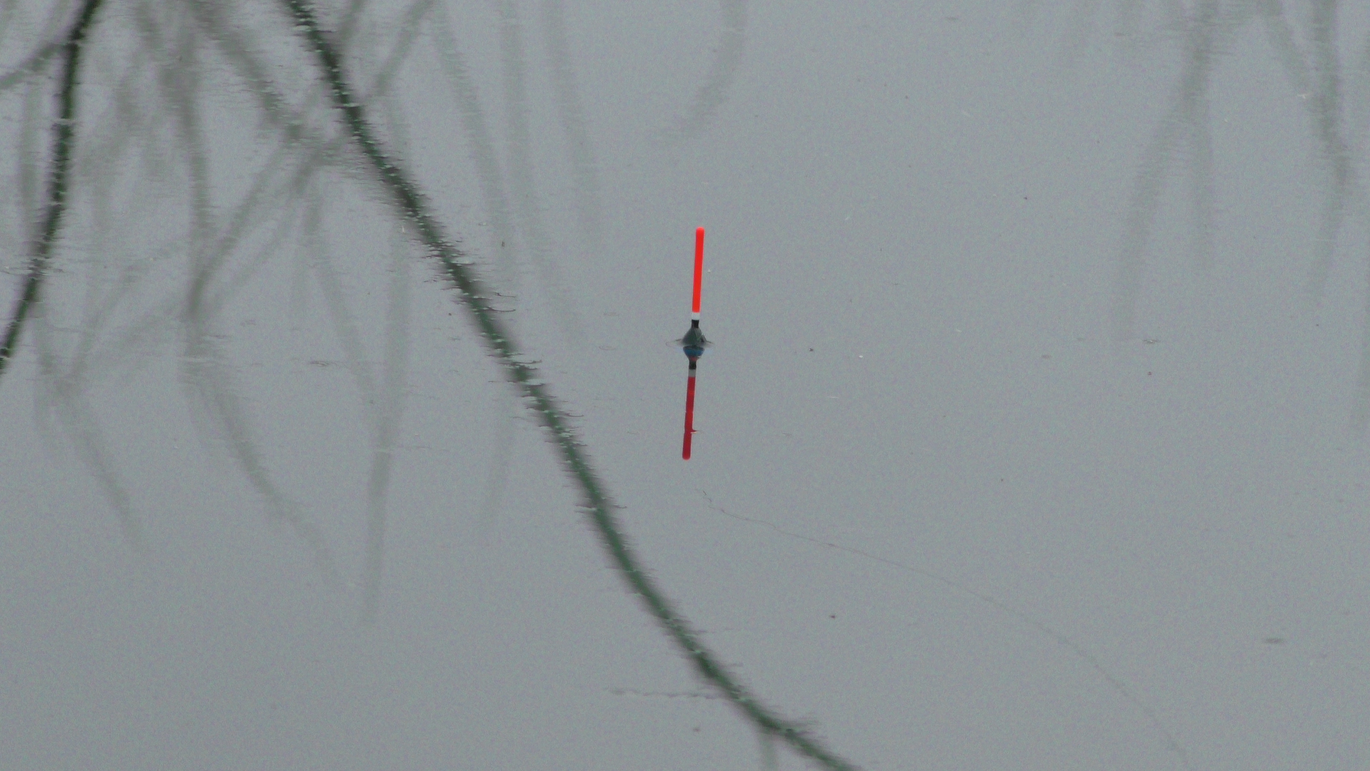 Рыбалка . Ловля плотвы летом на поплавочную удочку смотреть онлайн