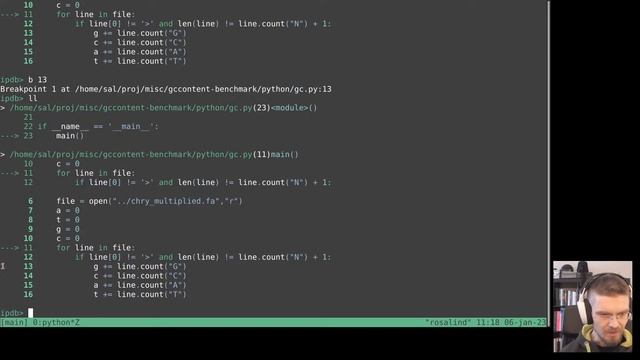 Debugging python on the commandlien with ipdb смотреть онлайн