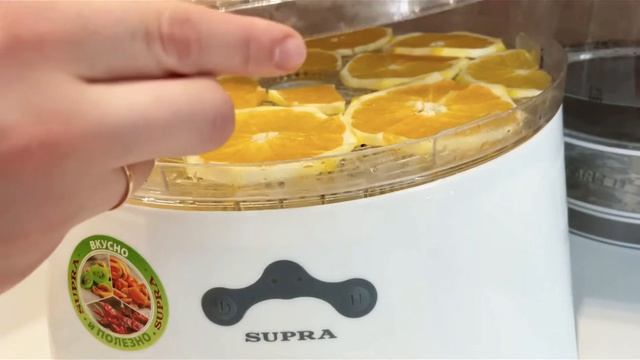 Домашние Животные и Их Уход