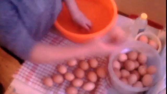 Яйца на инкубацию/свое хозяйство/дезинфекция куриных яиц уксусом смотреть онлайн
