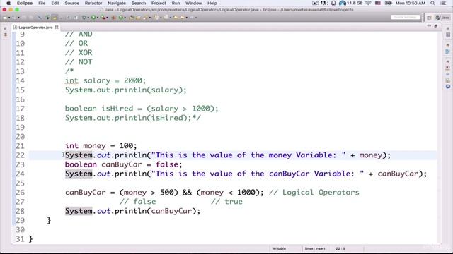 30. JAVA Logical Operators part2 смотреть онлайн