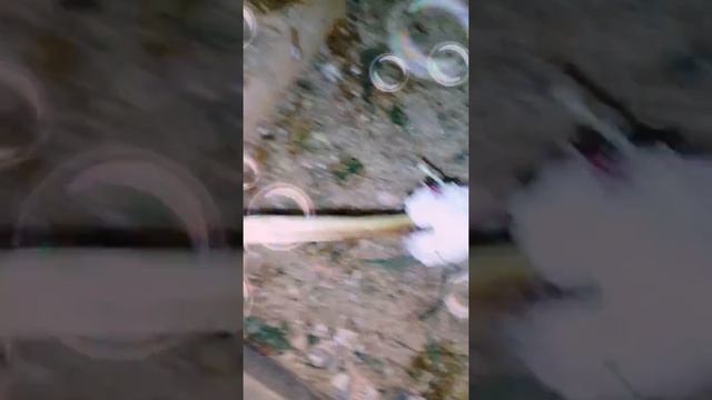 Желе 2 часть , цыплятам нравится смотреть онлайн