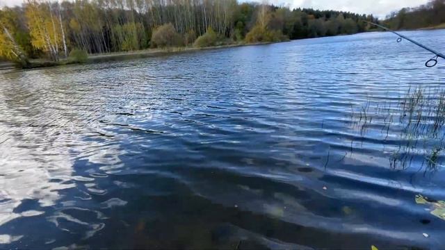 Кто рыбачит в сильный ветер, холодрыгу и рядом со стройкой? Только я и моя мама! :) смотреть онлайн