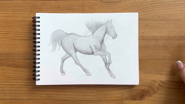 Как нарисовать лошадь карандашом | Рисунок для начинающих поэтапно смотреть онлайн