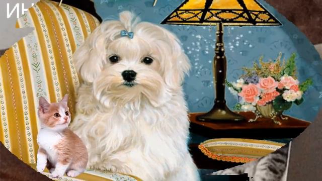 Добрый вечер! # Good Evening! # Доброй ночи, чудесного вечера! # 1