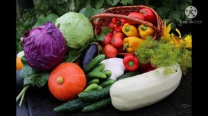 Виды Анонсов Карусель (осень 2021)